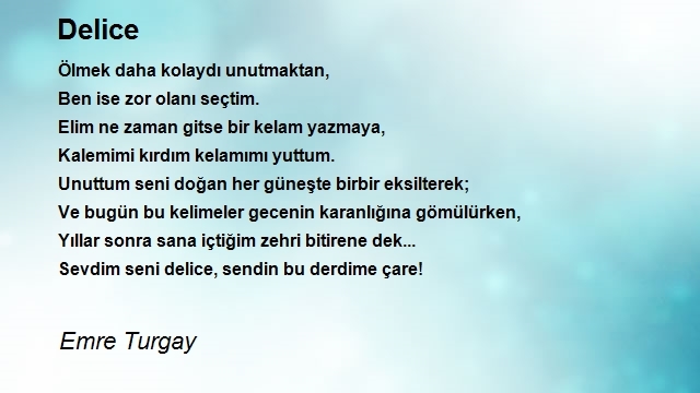 Emre Turgay