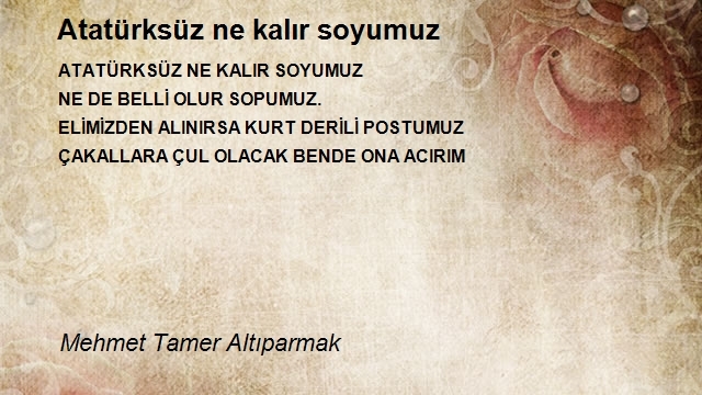 Mehmet Tamer Altıparmak