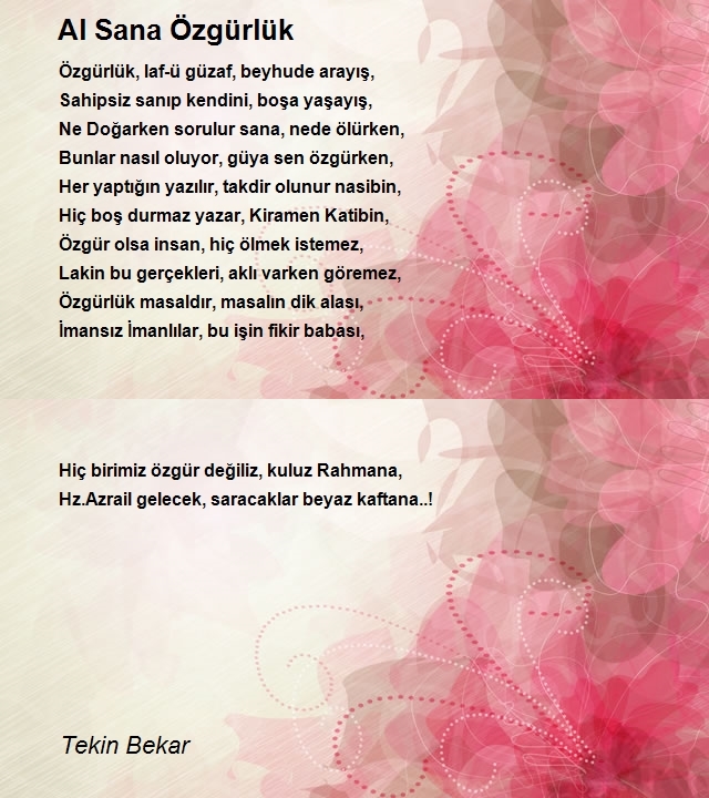 Tekin Bekar