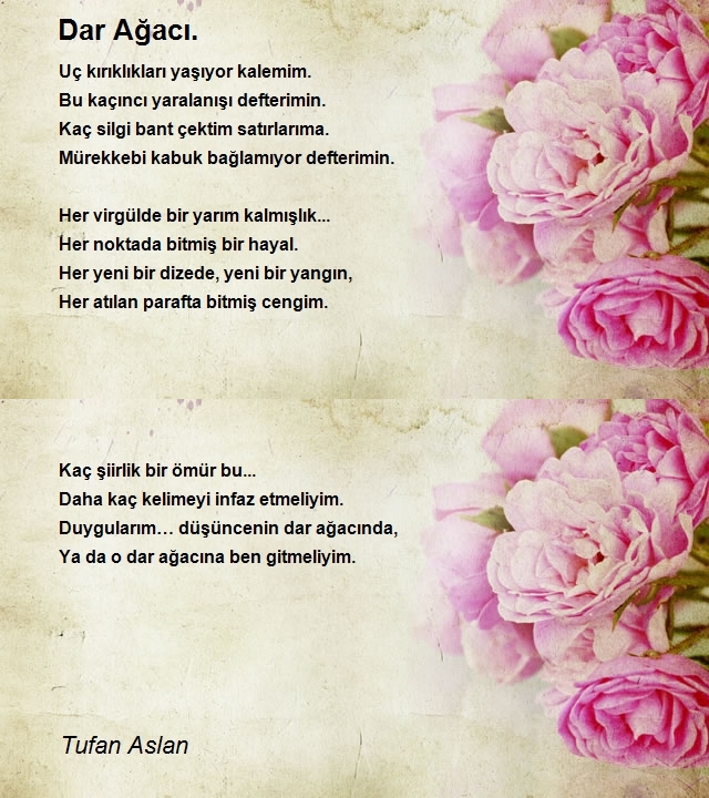 Tufan Aslan