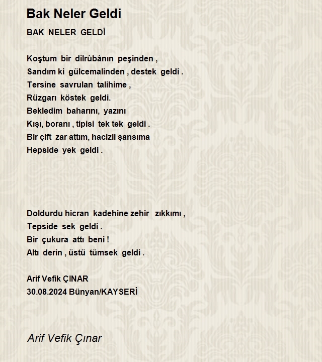 Arif Vefik Çınar