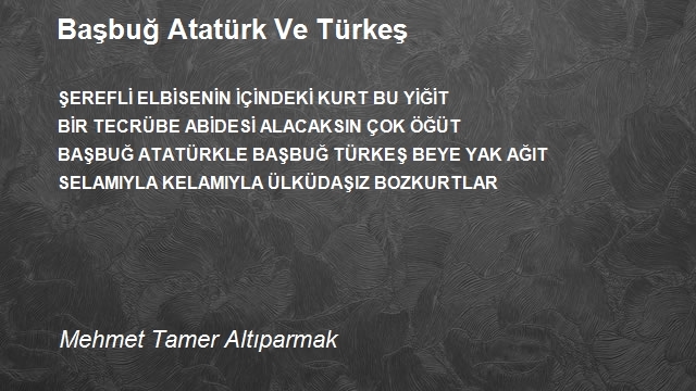 Mehmet Tamer Altıparmak