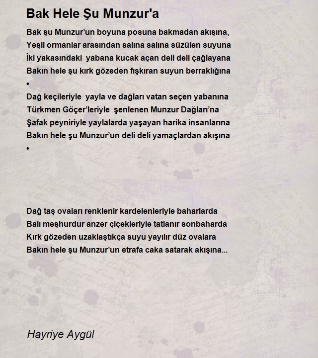 Hayriye Aygül