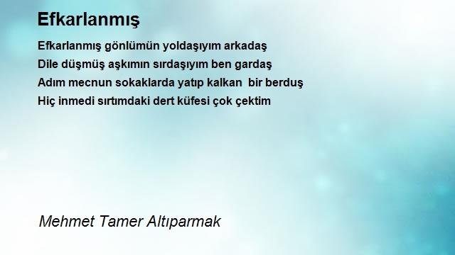 Mehmet Tamer Altıparmak