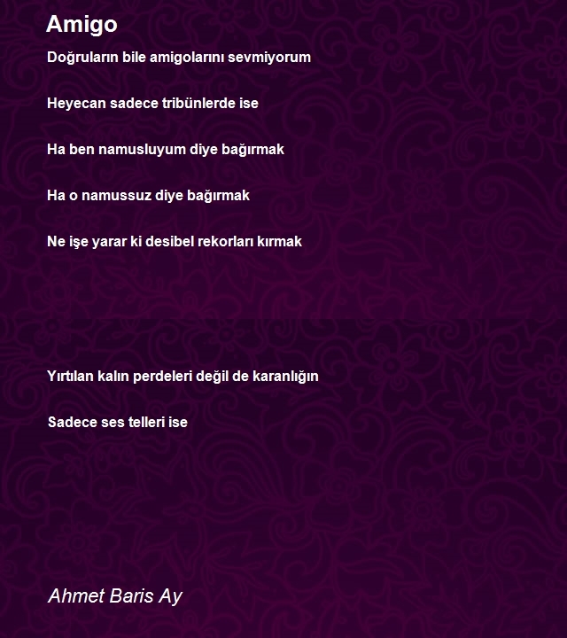 Ahmet Baris Ay