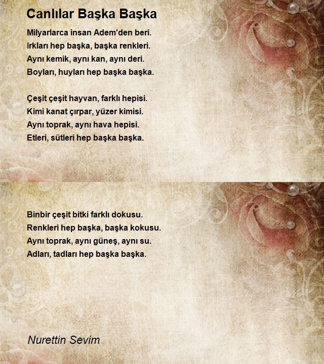 Nurettin Sevim