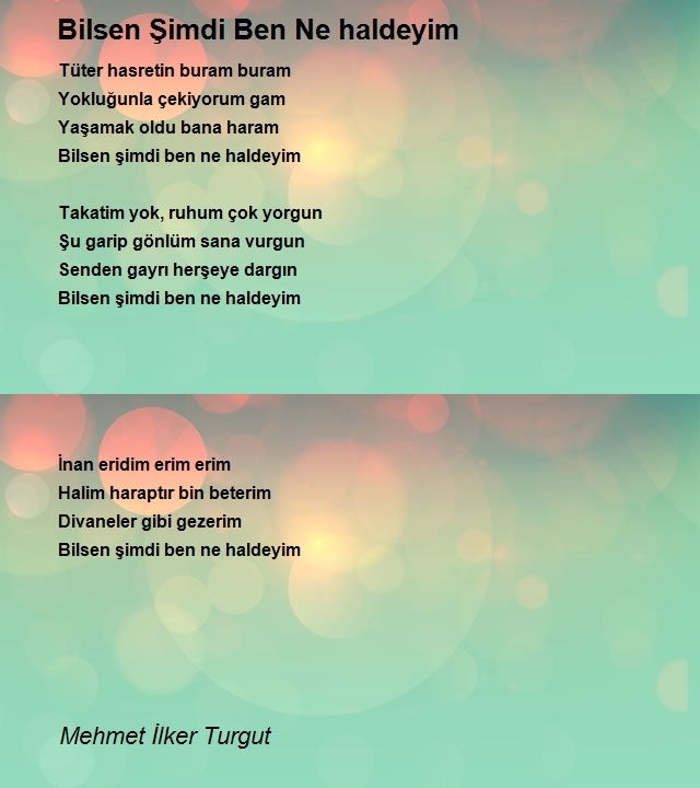 Mehmet İlker Turgut