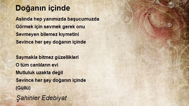 Şahinler Edebiyat