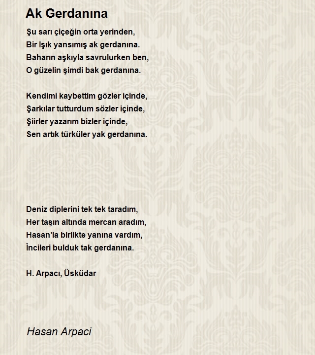 Hasan Arpaci