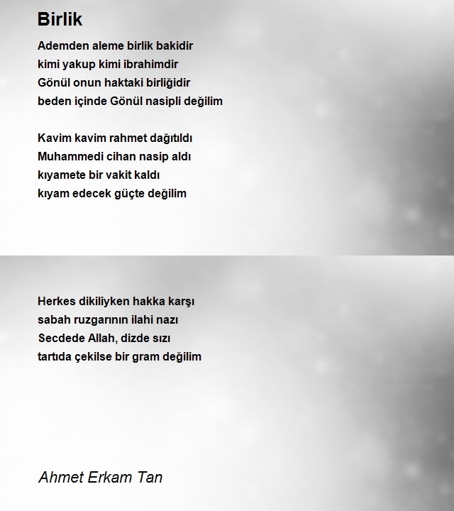 Ahmet Erkam Tan