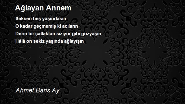 Ahmet Baris Ay