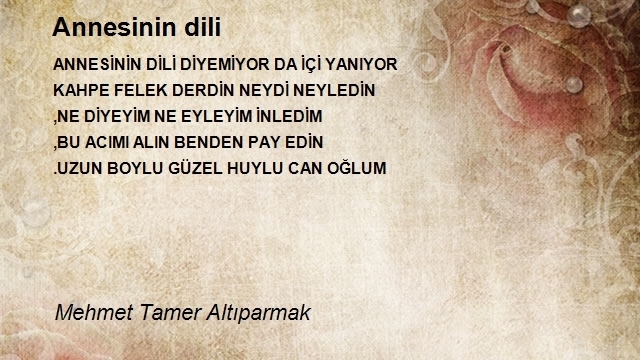 Mehmet Tamer Altıparmak