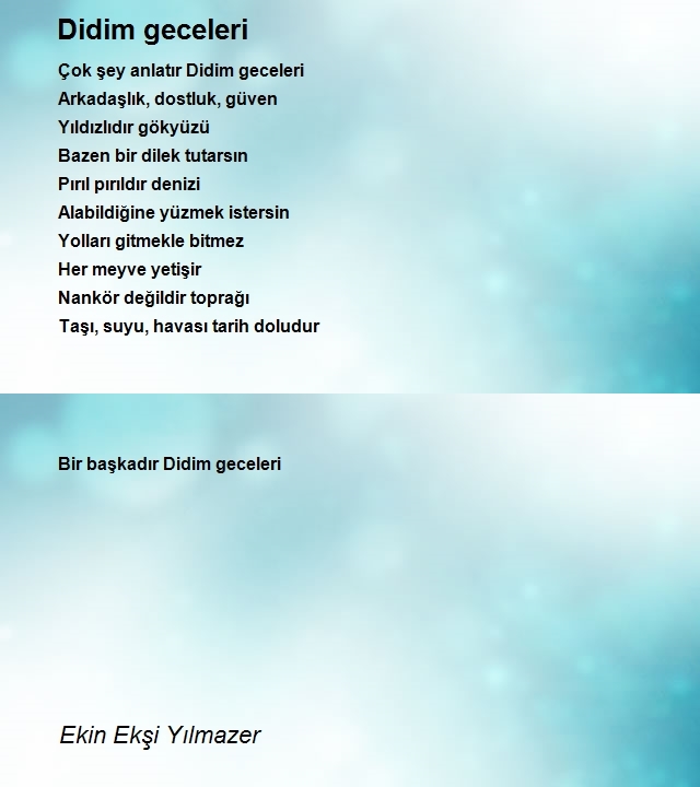 Ekin Ekşi Yılmazer