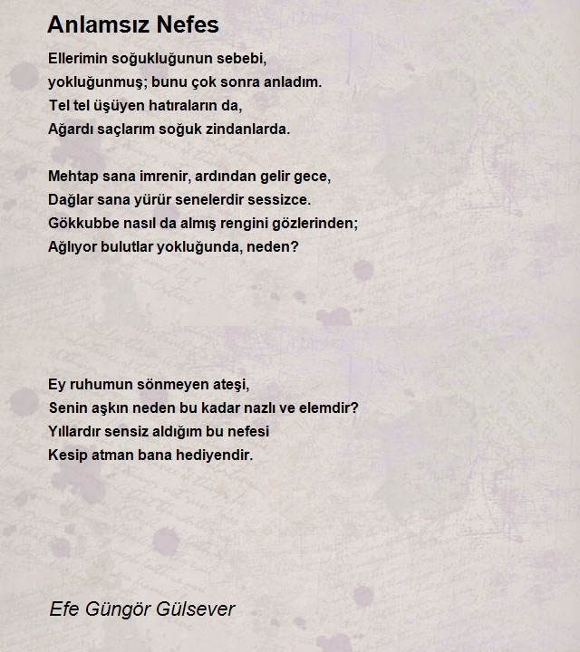 Efe Güngör Gülsever