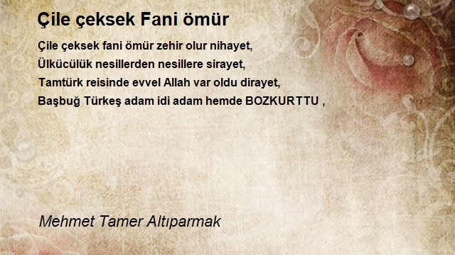 Mehmet Tamer Altıparmak