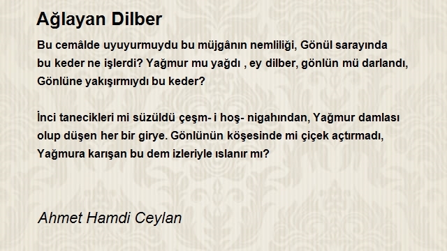 Ahmet Hamdi Ceylan