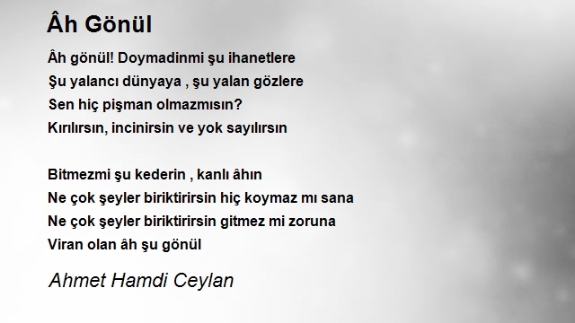 Ahmet Hamdi Ceylan