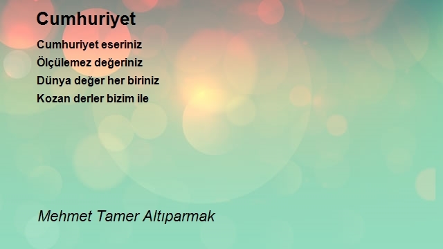 Mehmet Tamer Altıparmak