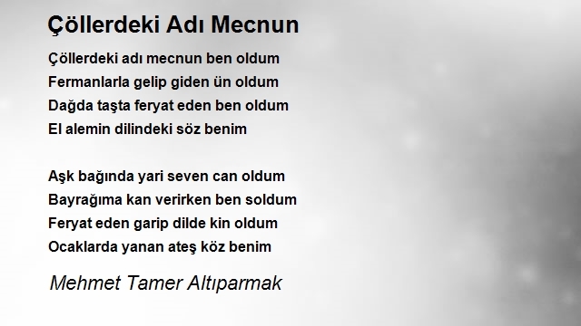 Mehmet Tamer Altıparmak