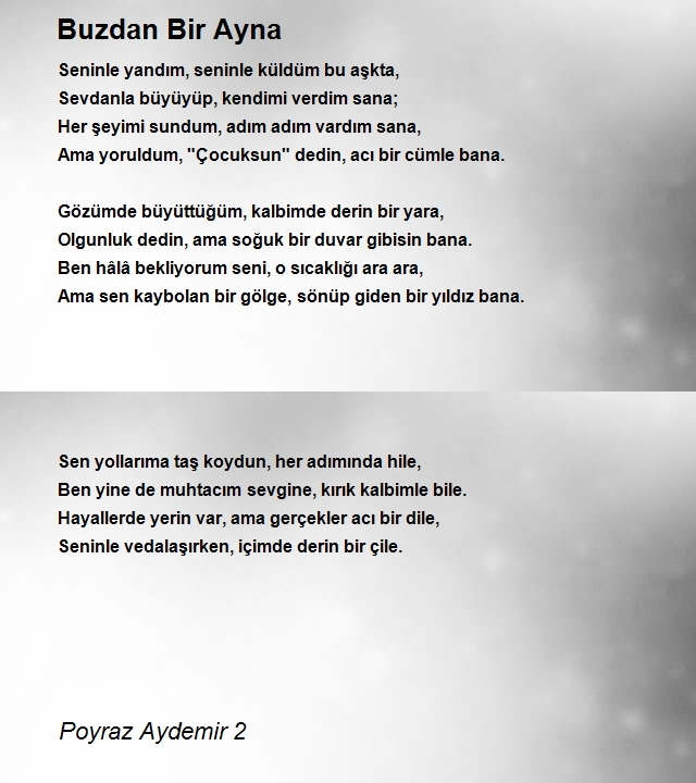 Poyraz Aydemir 2