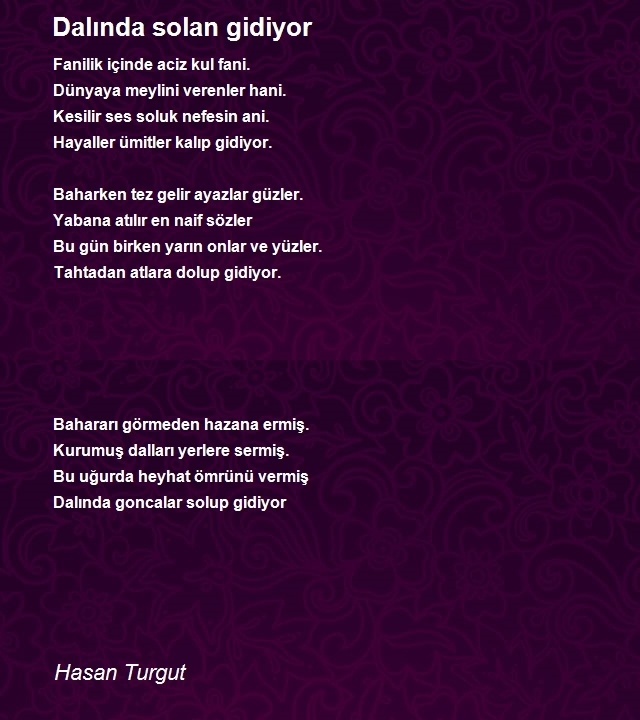 Hasan Turgut