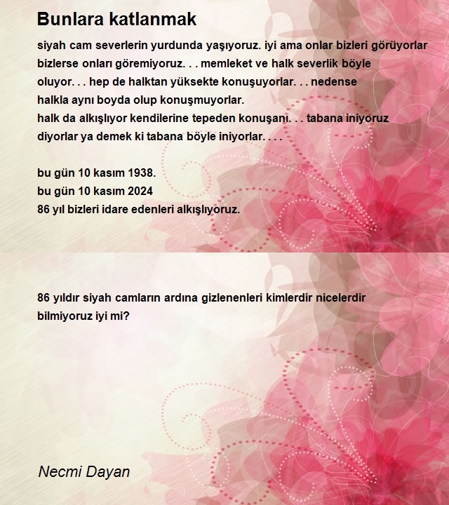 Necmi Dayan