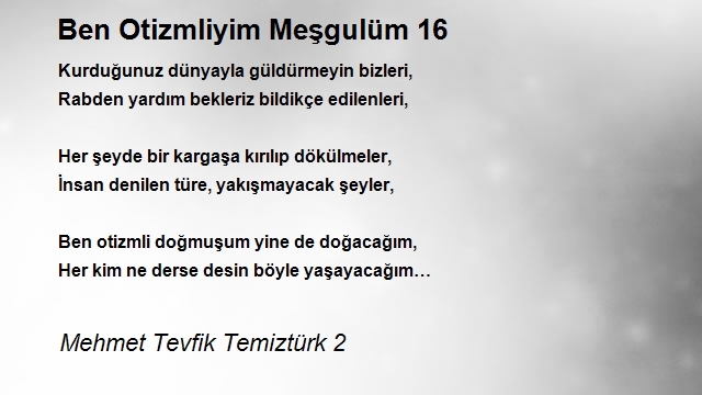 Mehmet Tevfik Temiztürk 2