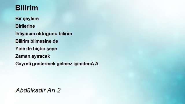 Abdülkadir Arı 2