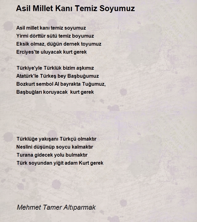 Mehmet Tamer Altıparmak